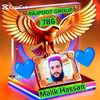 malikhassan3143