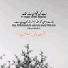 hussan7227