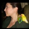 lovebirdloft