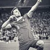 bellingol_vini7