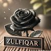 zulfiqarzulfi604