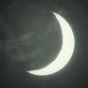 savanna_1208