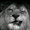 user5jeibxn2a0