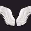 angelwingsab