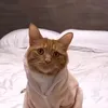 hi_babe86