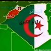 🇩🇿algerian and  proud 🇩🇿