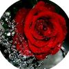 user8773437536199