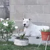 ivan_fernandez08