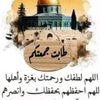 user5597830905460