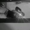 arly_barr8os