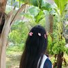 kittypick81