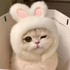 4410.cacaaa_