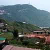 surasakmaitri