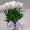 bayramov9548