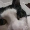 _srzurita