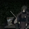 zo_wf