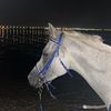 reta_2213