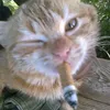 skinnycigarette_