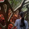 kanayaa2412