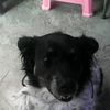 eduardo_19621