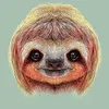 pablo.le.zigoto