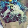 yi_qu124
