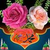 muhammaddawood3255