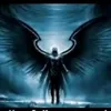 user3731128855777