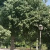 hasna_elkoumachi86