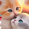 fkdgkxt