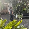 luis_fernando_74