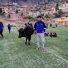 leonrimber_0219lp