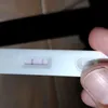 ranbudolfindsph