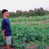 baonguyen8117