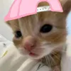urprxt_