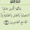 user6686628050908