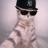 mr_zenn4