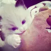 user_tragn011