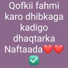 fatushbei4