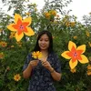 mayzin871155