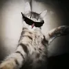 btkd_1602