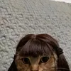cnhshdhdheee