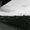 lloe_01