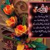 afzalmoavia_786