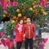 userqjhxw9p633