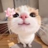 irisha_694