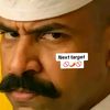 turgull_302