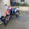 dylanche127