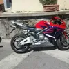 lucianobolognesi5