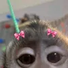 youoliveirax